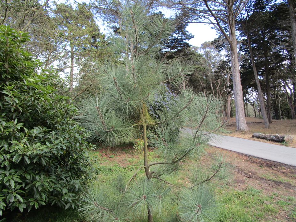 42978778_10217138039349411_6201827651804463104_n