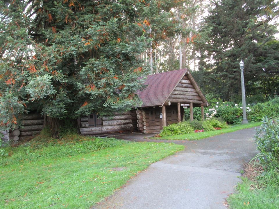 42980176_10217138037269359_1178129887437783040_n