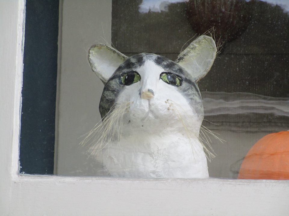 42990436_10217138056269834_8601381328383901696_n