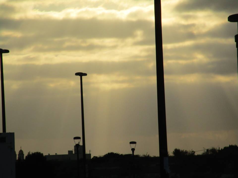 42992891_10217138061349961_2416828339986628608_n