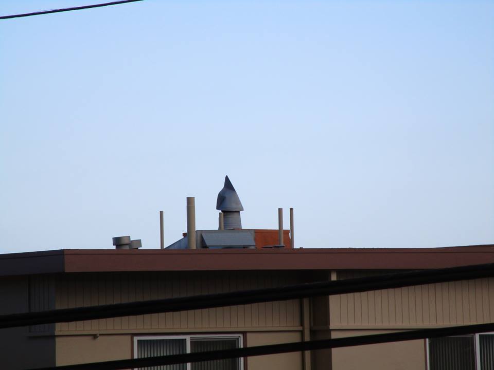 42996765_10217138062509990_5462113594852245504_n