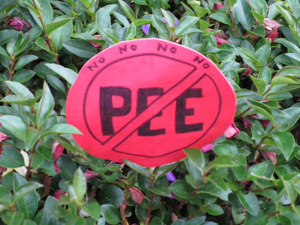 42999640_10217138041389462_7146303802147078144_n