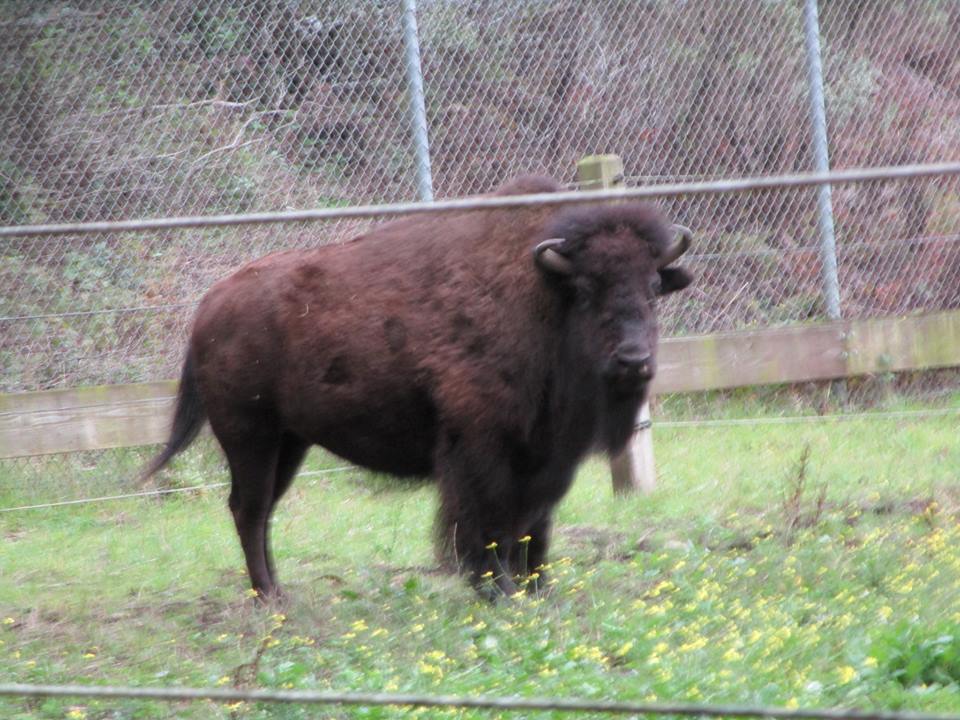 43001399_10217138120511440_2444832059332493312_n