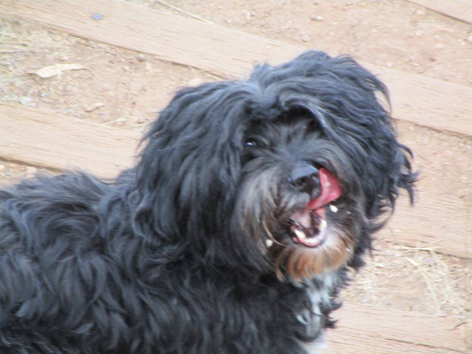 43009834_10217138045749571_8274283778831024128_n