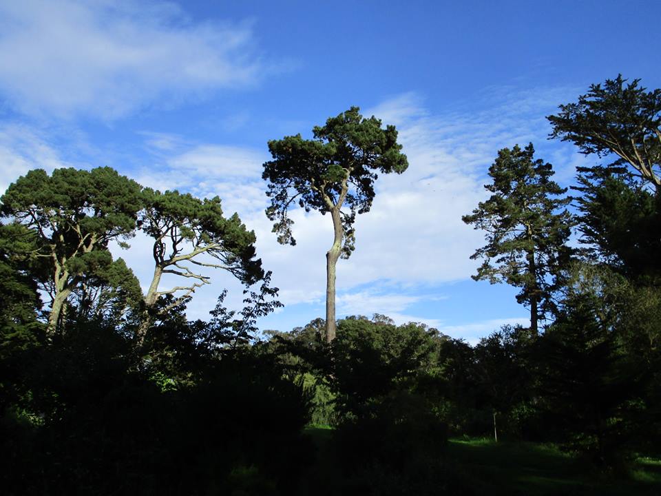 43013753_10217138038749396_5206181943997104128_n