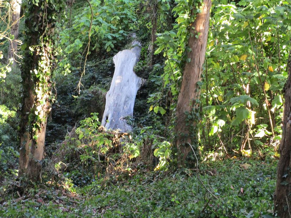 43047651_10217138037709370_920163040559628288_n