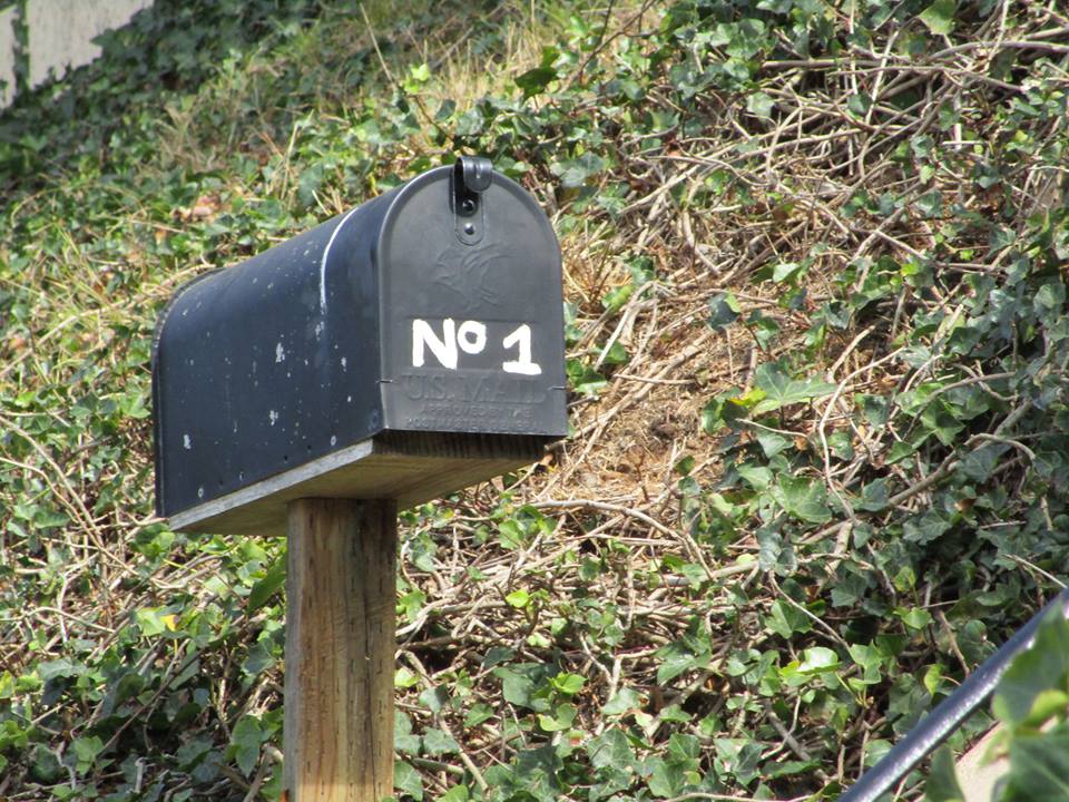 43098480_10217138057189857_8793166775089889280_n