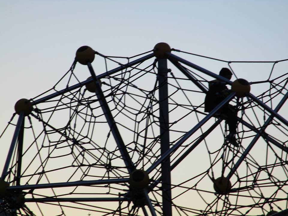 43322919_10217184340506911_2773634182620905472_n