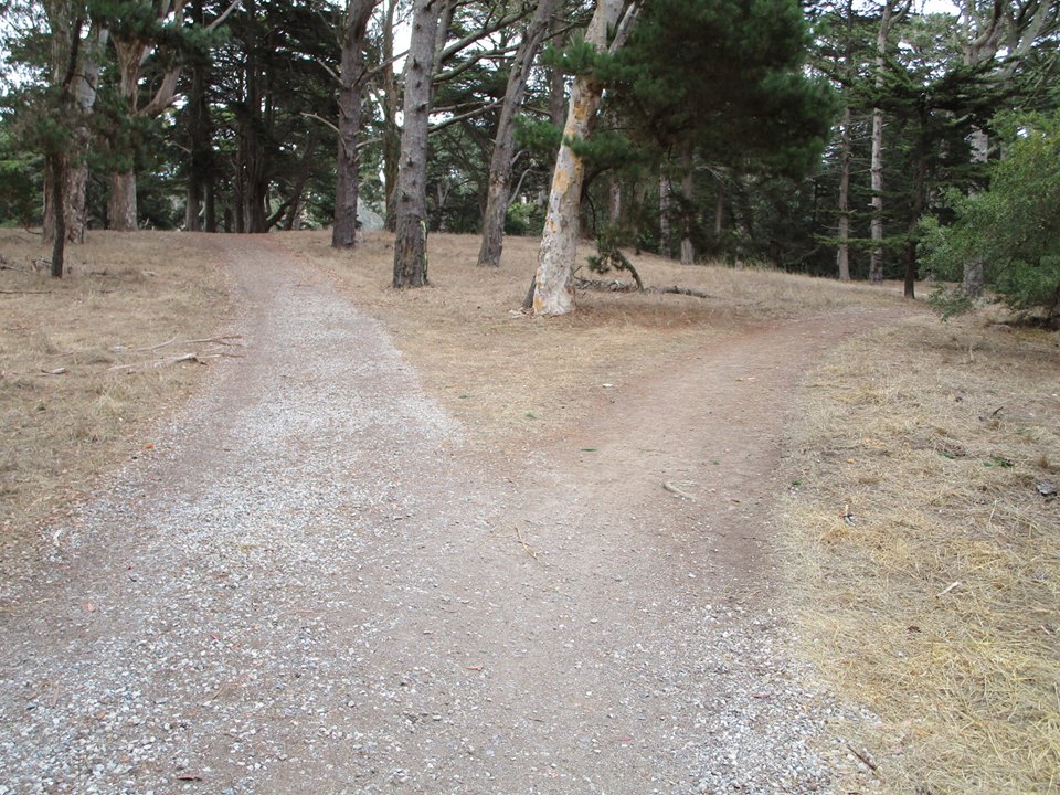 43335351_10217184399788393_8550617632443727872_n