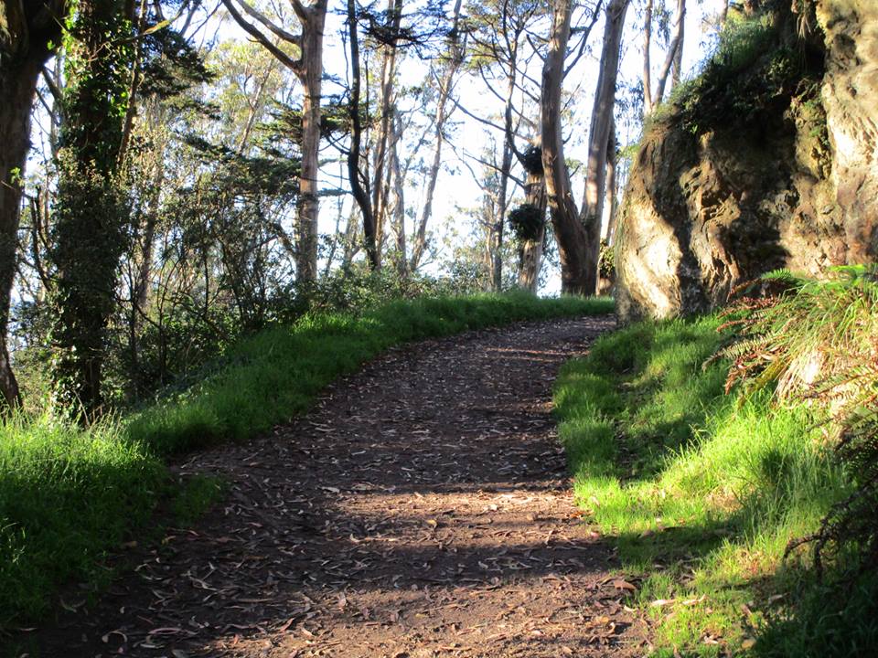 43335406_10217184324666515_7943331453180313600_n