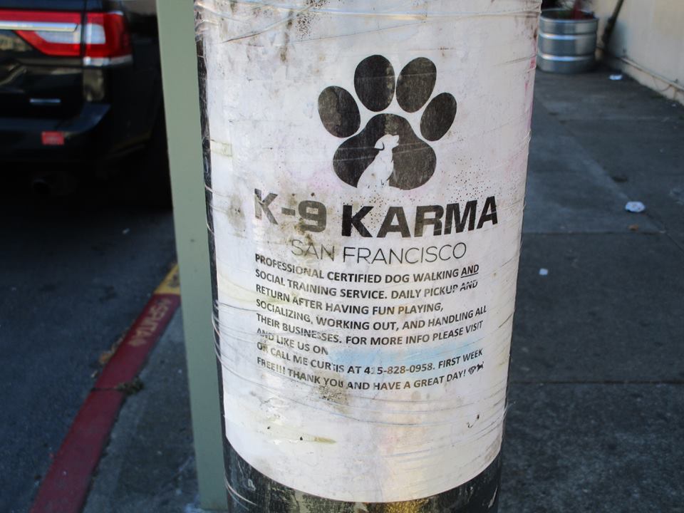 43363544_10217184338346857_5829090633008021504_n