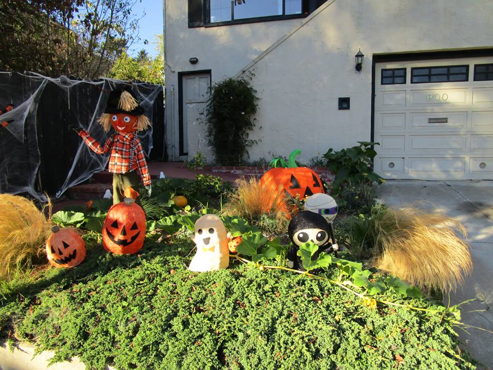 43367851_10217184336746817_8255769587862208512_n