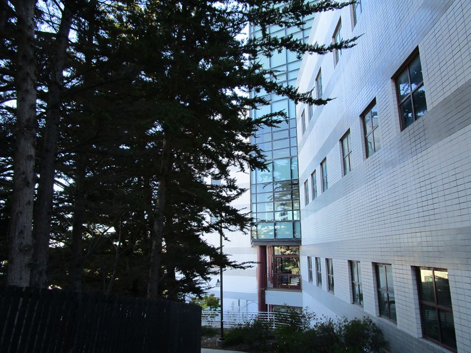 43378266_10217184378027849_2227679217221369856_n