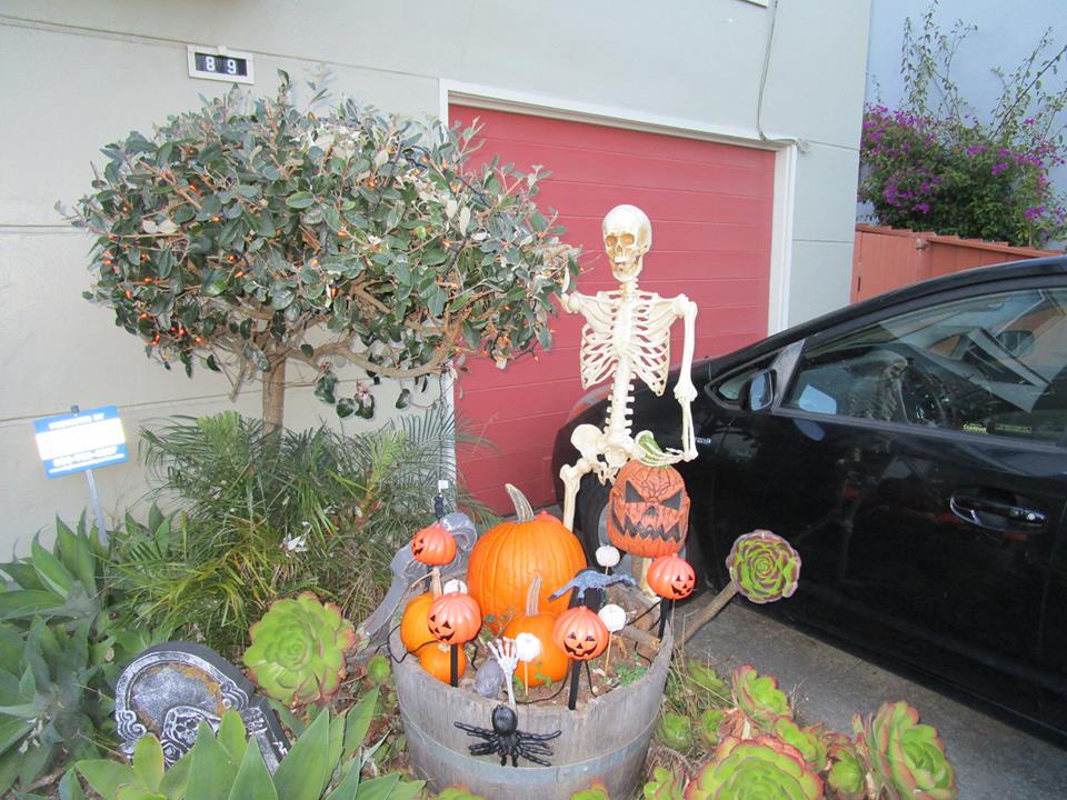 43385973_10217184319786393_1413086640301146112_n