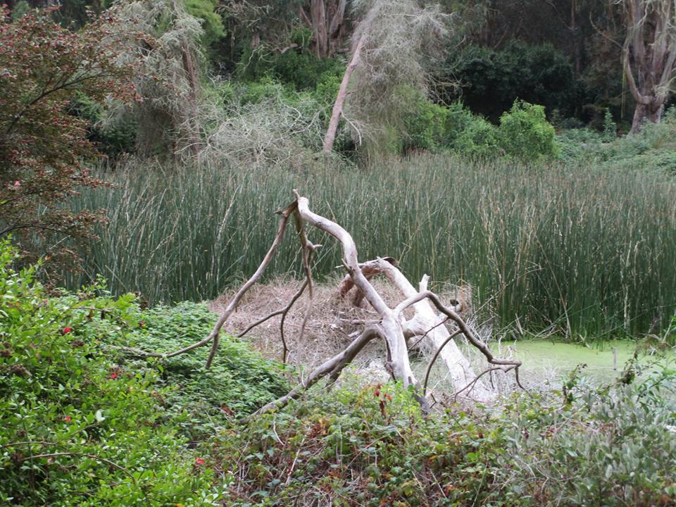 43407012_10217184401428434_1340935570594988032_n