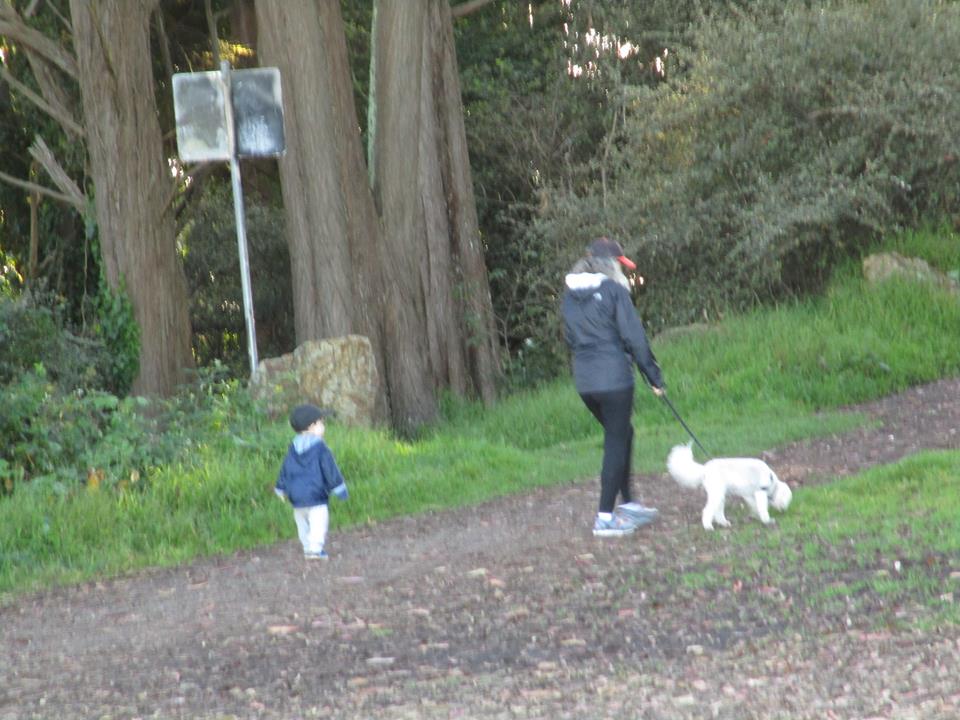 43412303_10217184350467160_618112816859054080_n