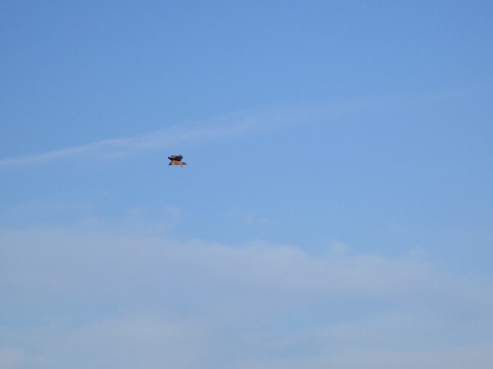 43419328_10217184388628114_5413303722484695040_n