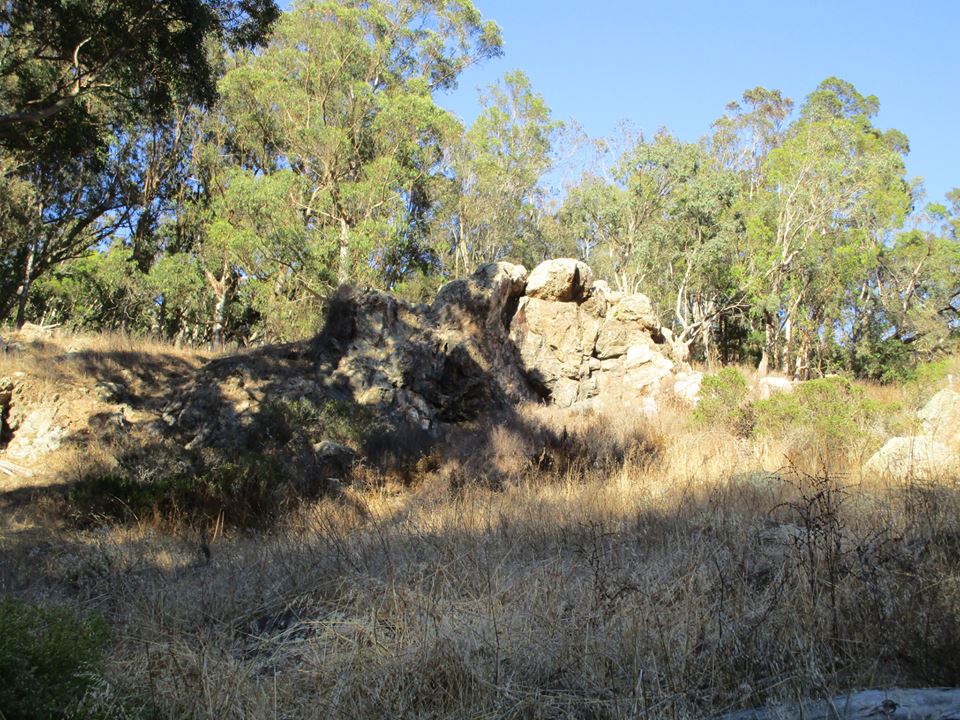 43422547_10217184369627639_9069573883664793600_n