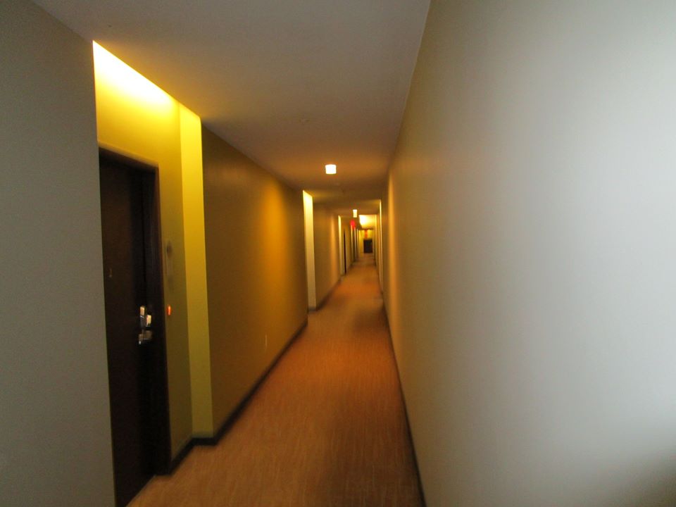 43433850_10217184403908496_6588342212721901568_n