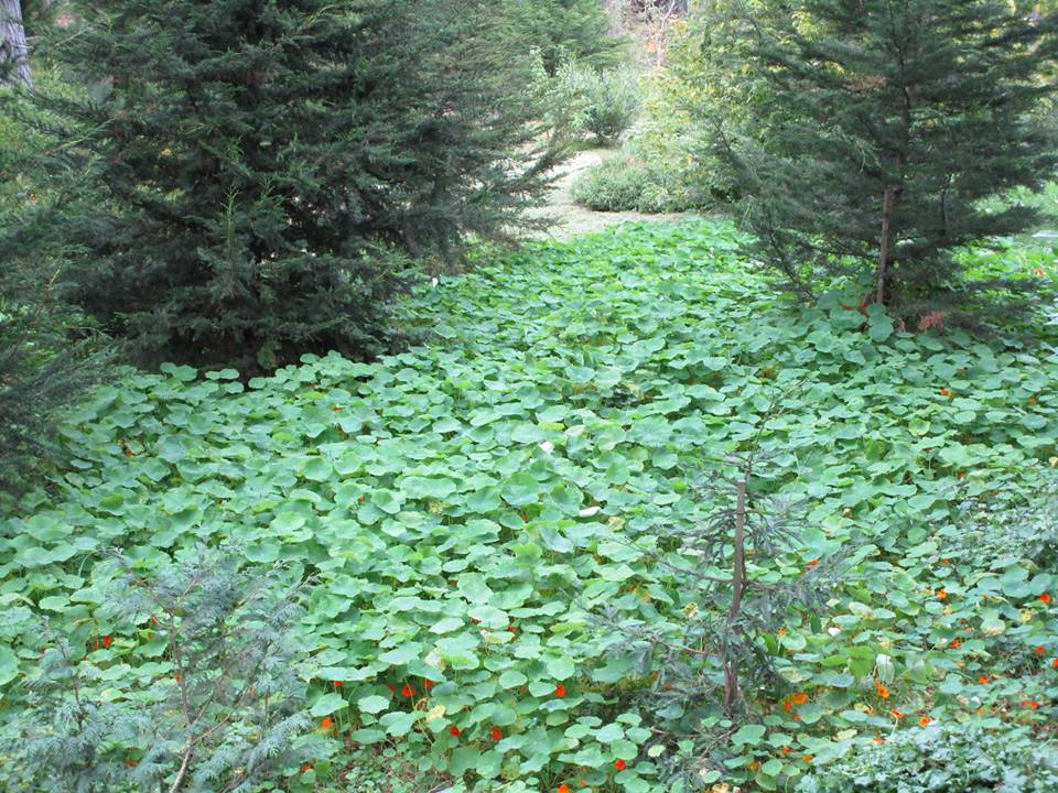 43437538_10217184397908346_1627089690836336640_n