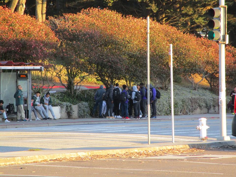 43473476_10217184378547862_5615289643504238592_n