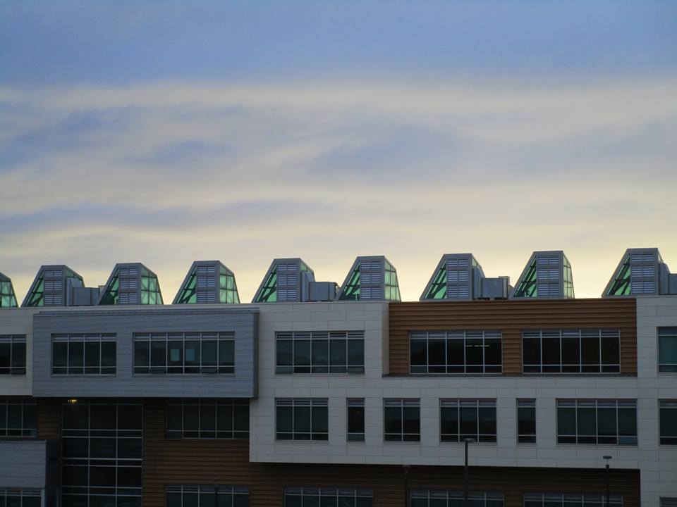 43493571_10217184390788168_5544952055019339776_n