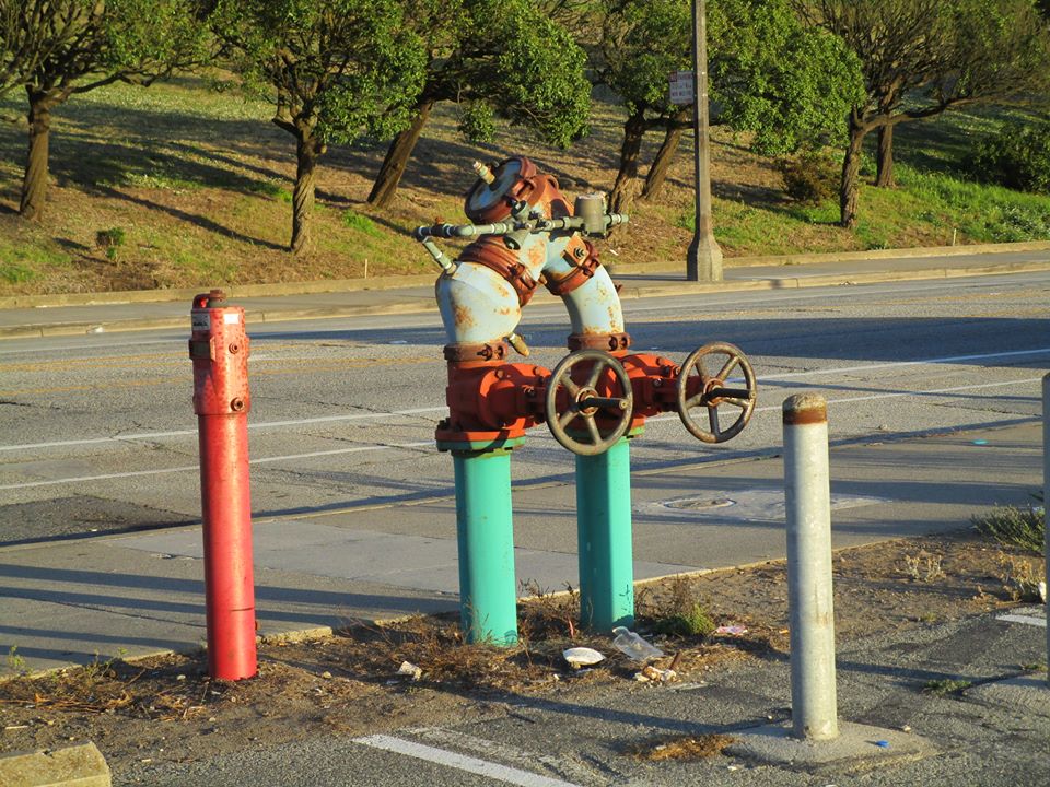 43500666_10217184381027924_3313987514234044416_n