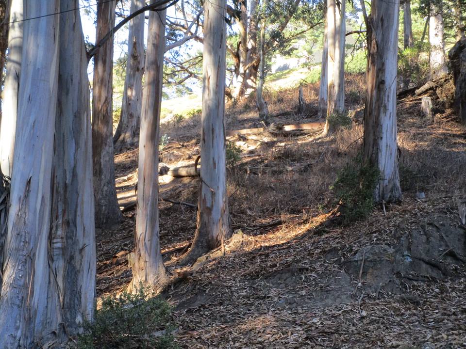 43552497_10217184365147527_6206030706800328704_n