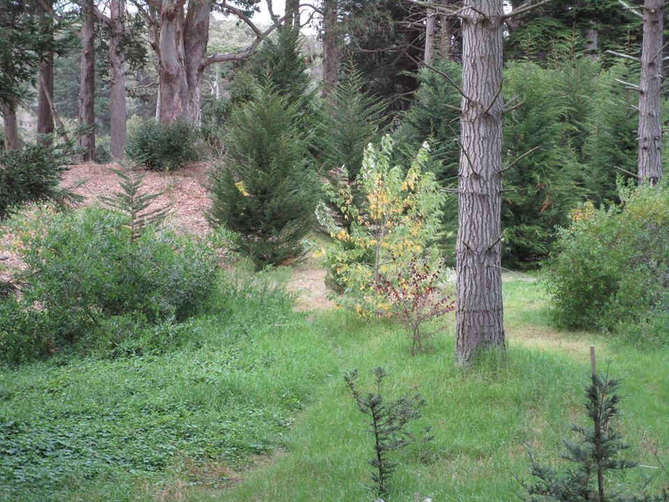 43555426_10217184398908371_1073086343271153664_n