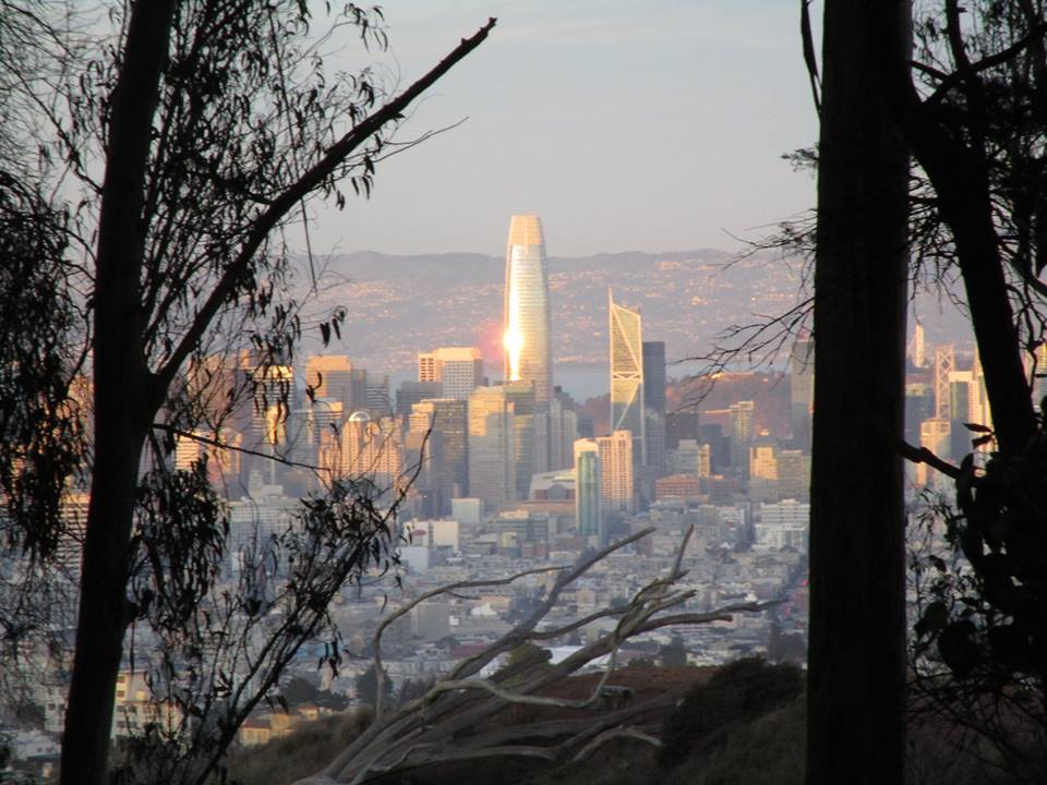 43688281_10217331027613997_7472621776481026048_n