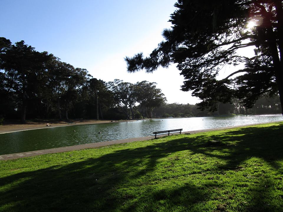 43766933_10217226467880069_889359921659772928_n