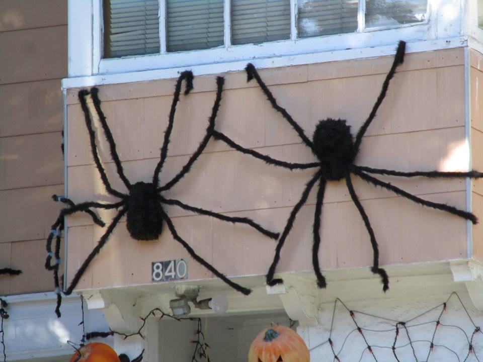 43766949_10217226583562961_2181234102307389440_n