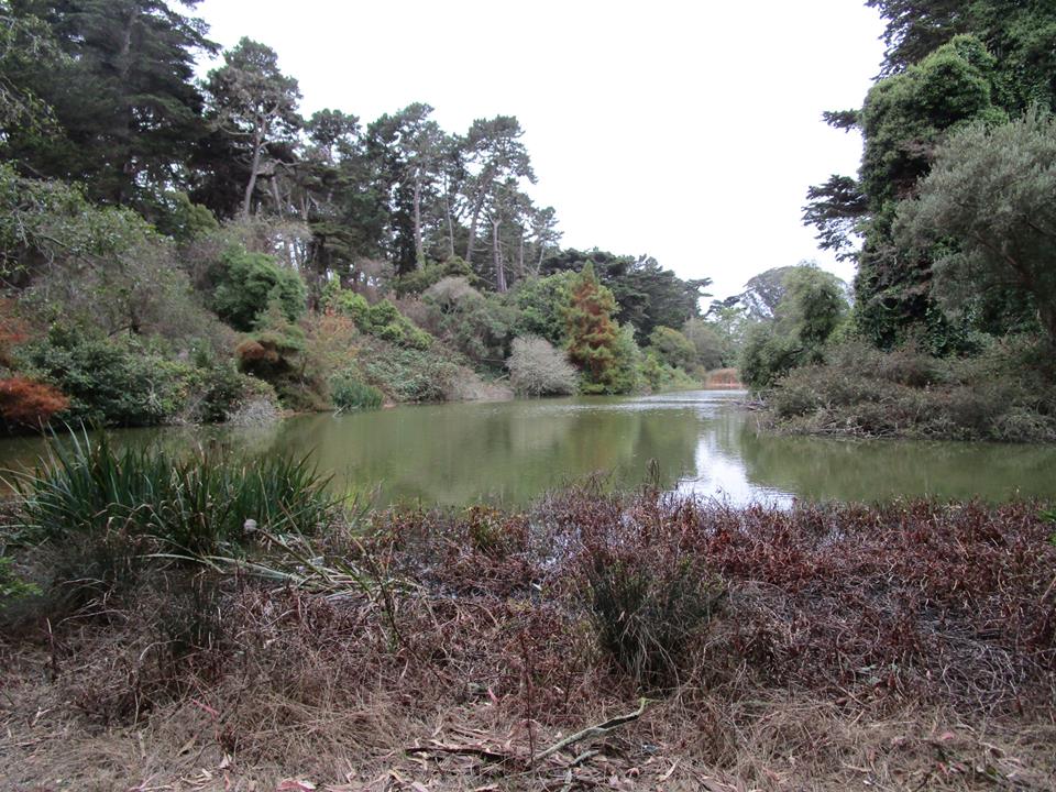 43828290_10217226572882694_646619476875280384_n