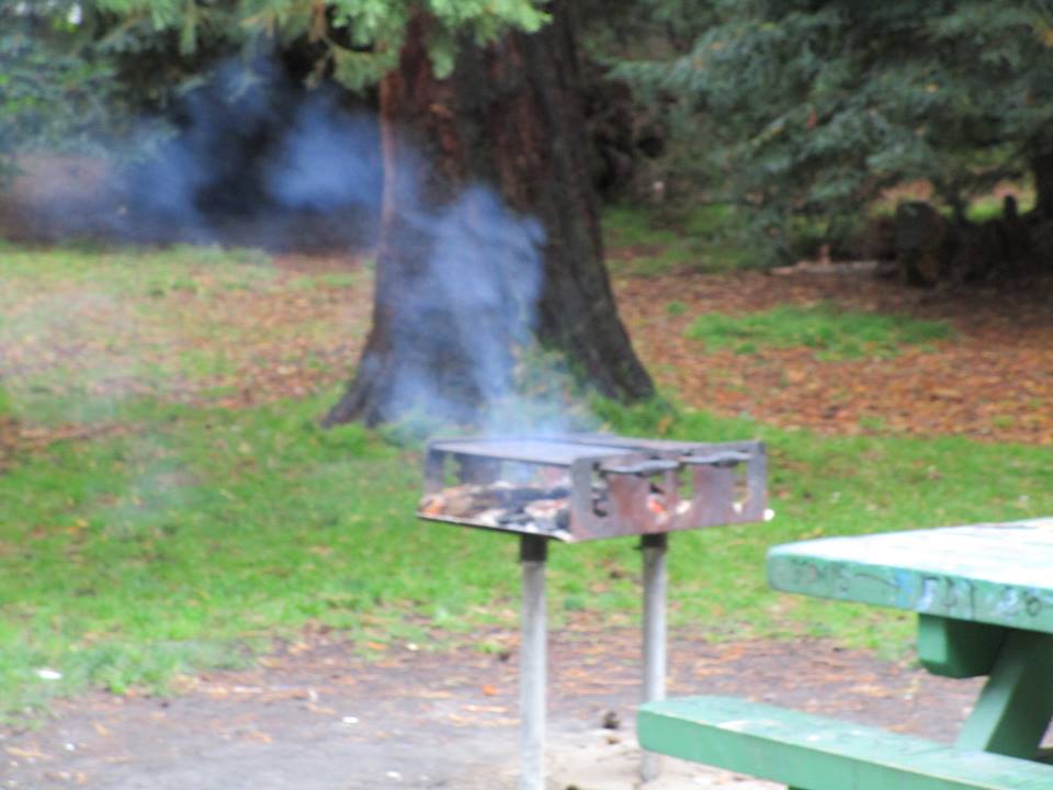 43851570_10217226574162726_5604480748418498560_n