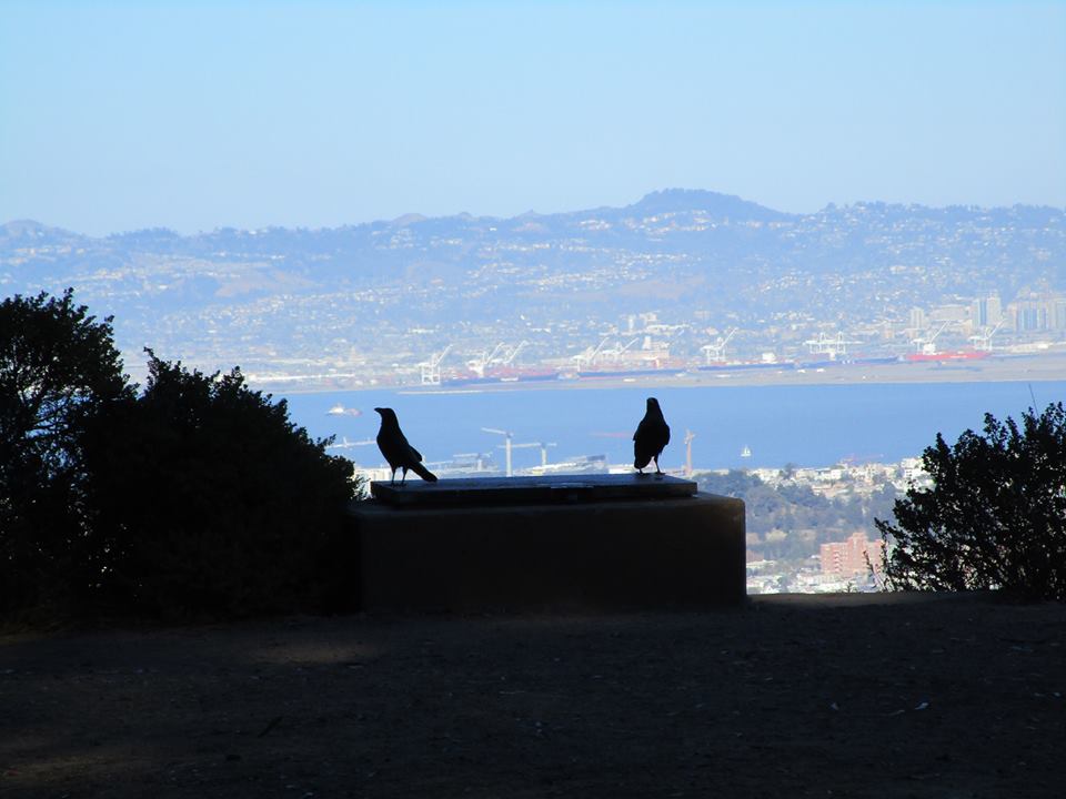 43878989_10217226578322830_6662666084908269568_n