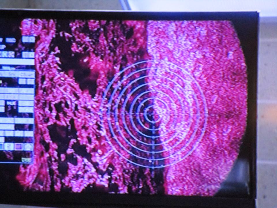 43880130_10217226586683039_3777373378340454400_n