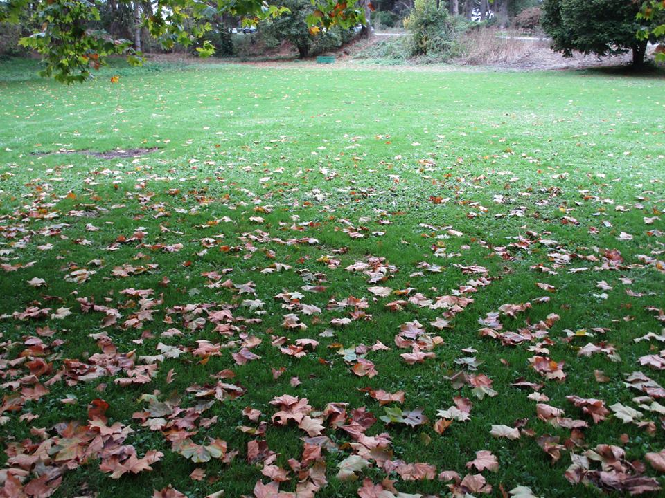 43950241_10217226570442633_4533971823611609088_n