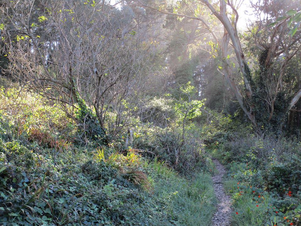 43951085_10217226580762891_6689489684680146944_n