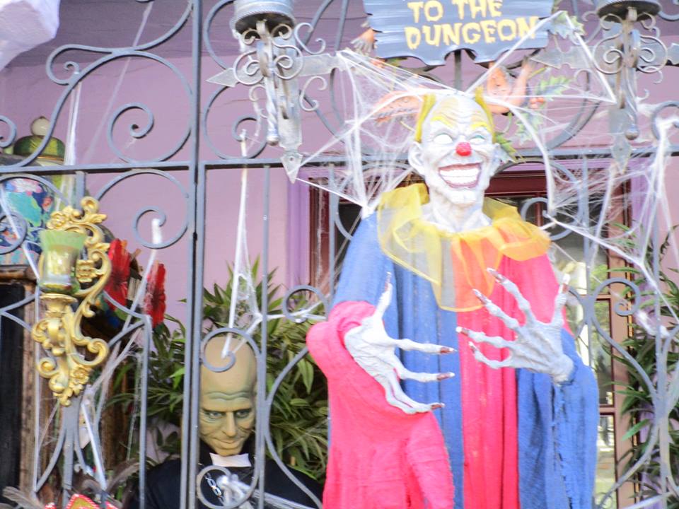 43951381_10217226581082899_8026647934617518080_n