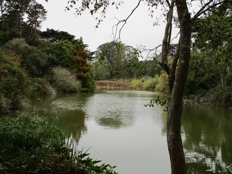 43952537_10217226488040573_3926972771501867008_n