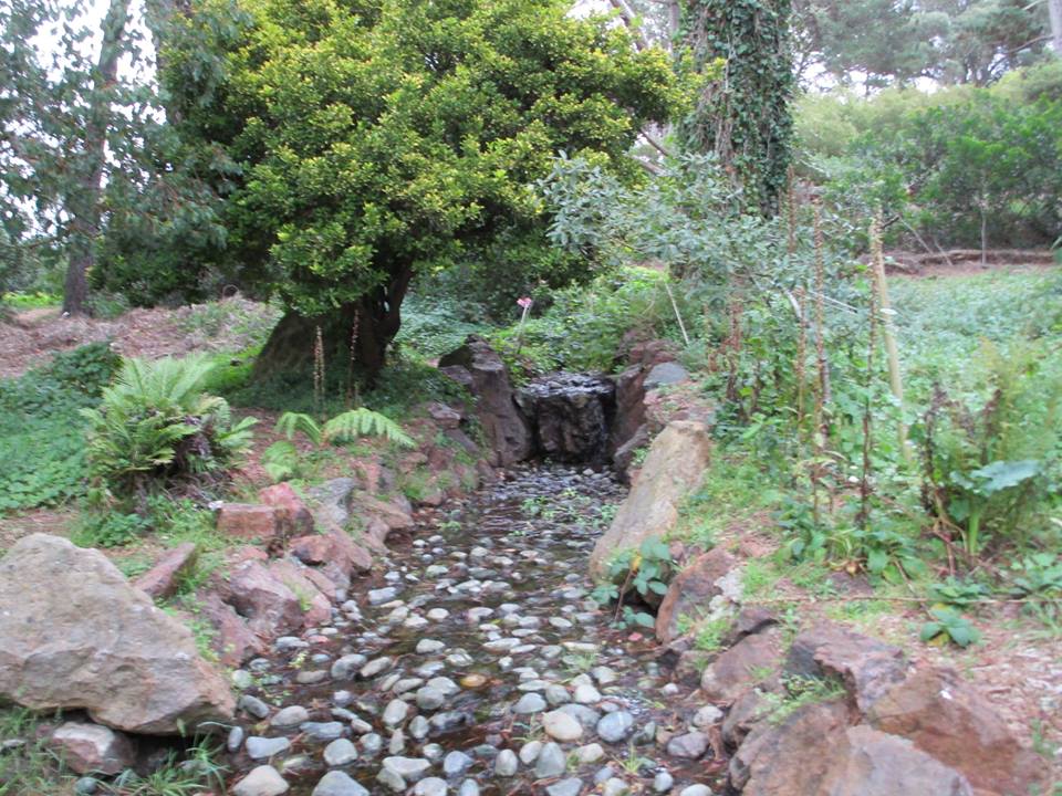 44043279_10217226571162651_7237349261917028352_n