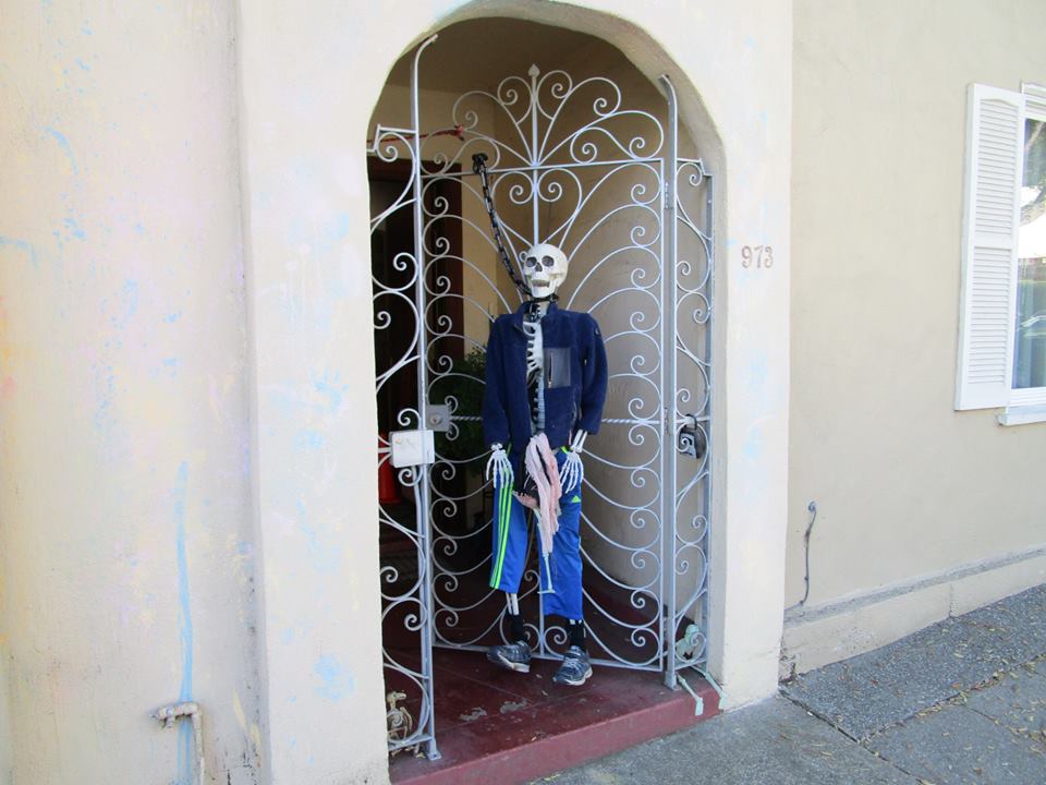 44043291_10217226582002922_7801992866972041216_n