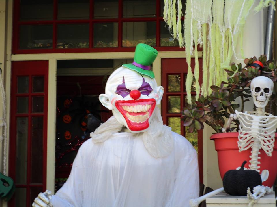 44045138_10217226585203002_7630011780755881984_n