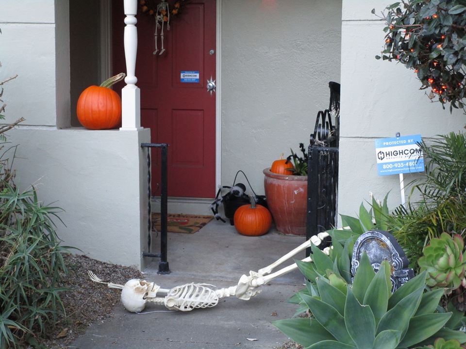 44232001_10217276994943214_4596124763503460352_n