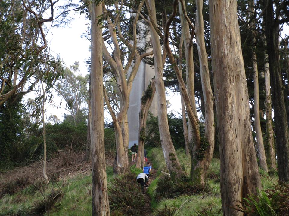 44327446_10217276982062892_7351129108866138112_n