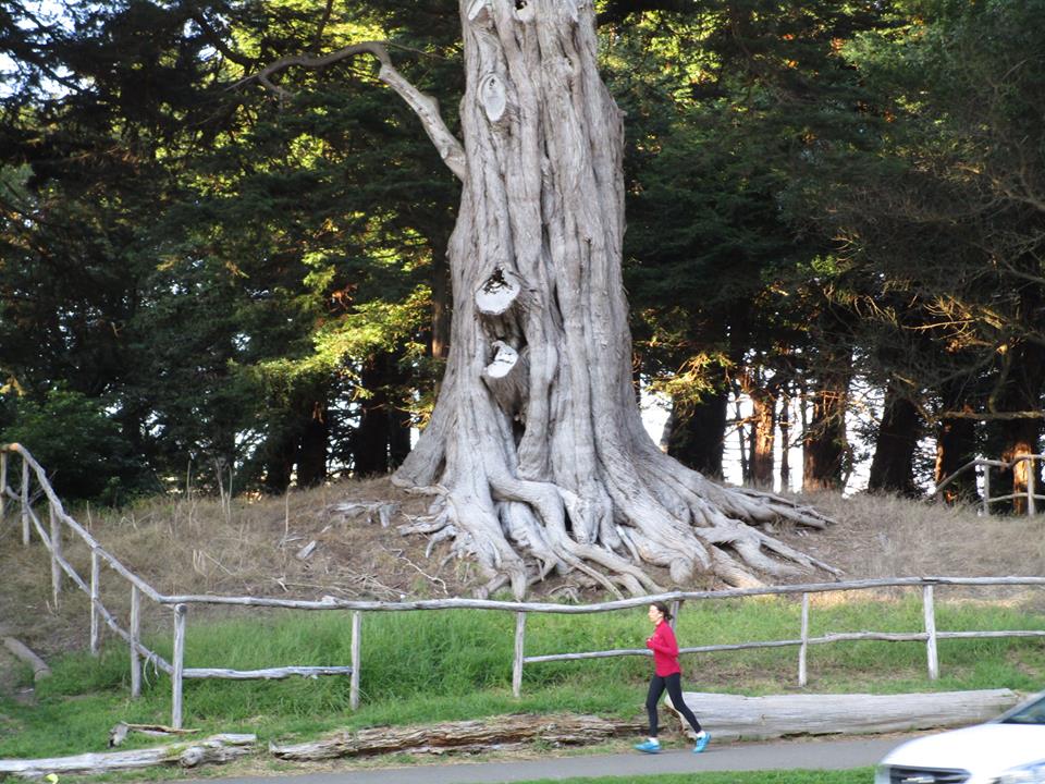 44355473_10217276944901963_7197323289159532544_n