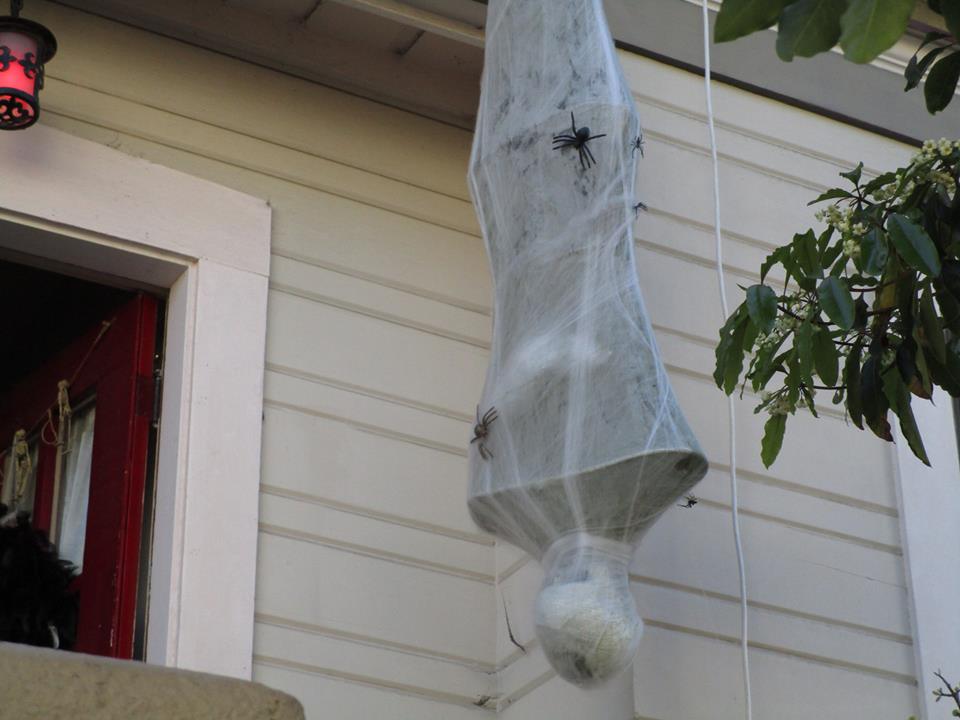 44368437_10217276940421851_5759528341954625536_n