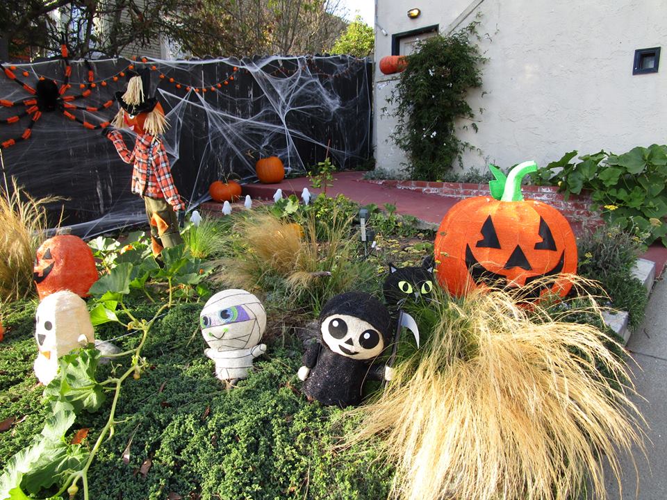 44373132_10217276987463027_1886357023746949120_n