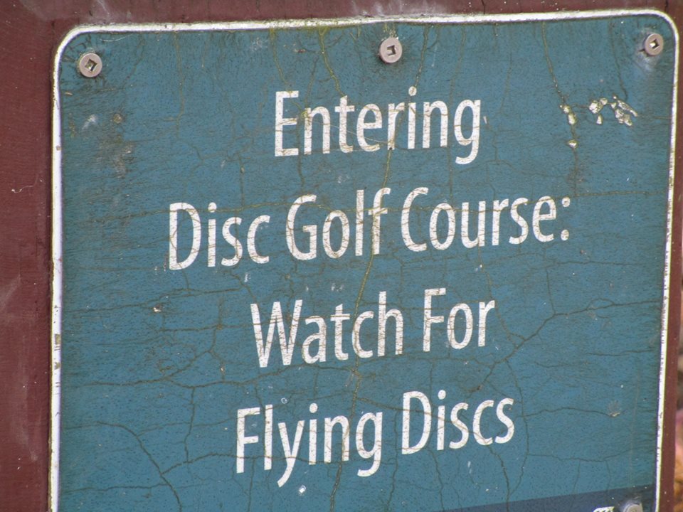 44382262_10217276950142094_2196272337588846592_n