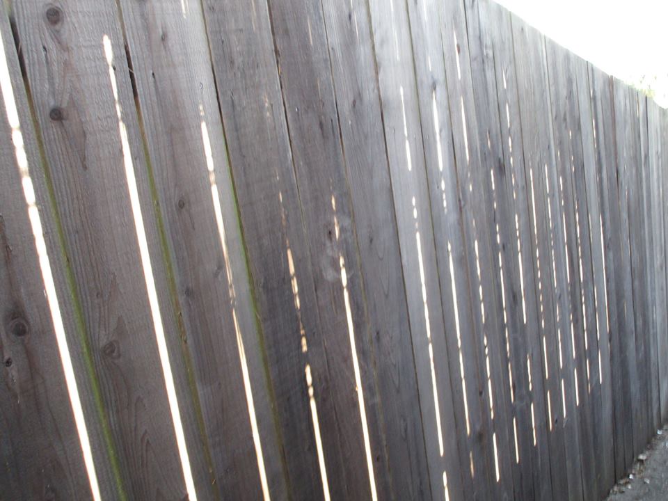 44384153_10217276970182595_1415256453484118016_n